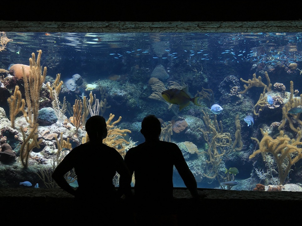 Akvarier i Danmark